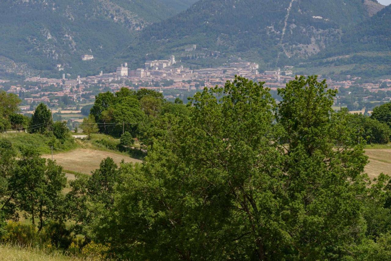 Casa Vacanze San Vittorino Gubbio Exterior foto